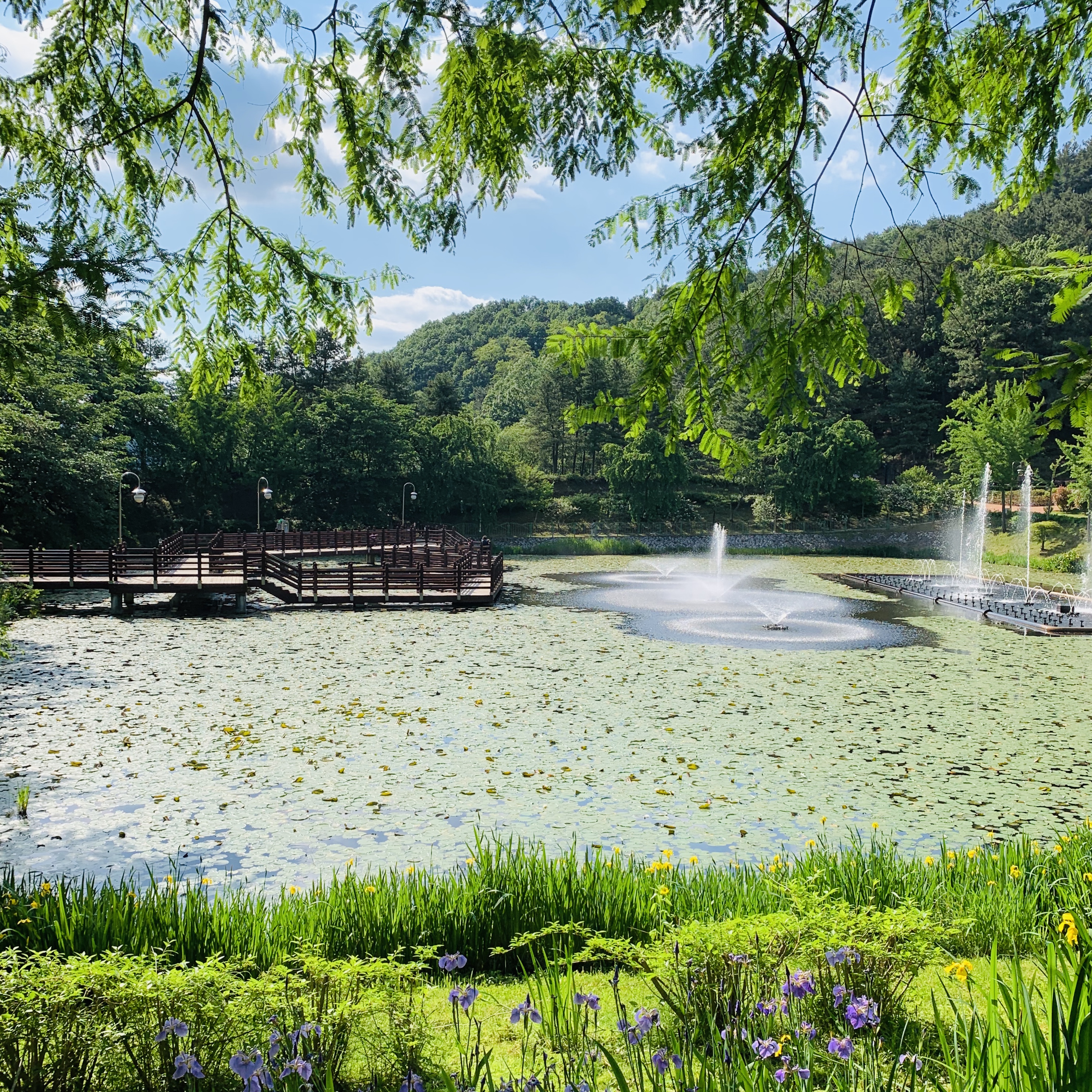 5월 양어장 분수