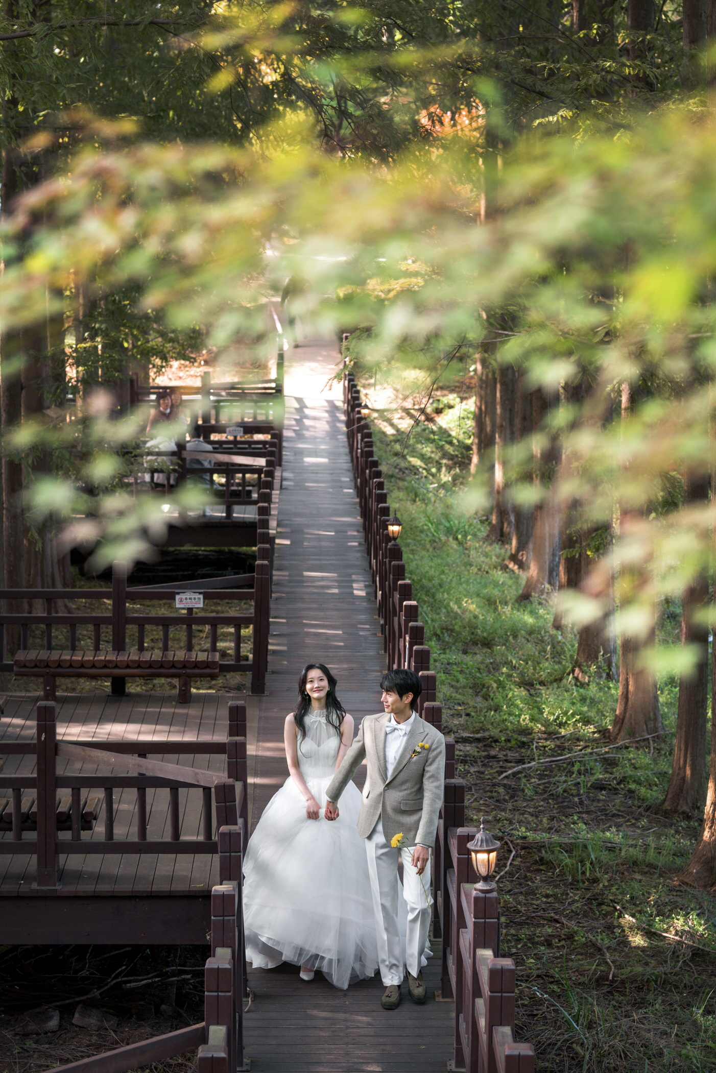 메타세쿼이아길