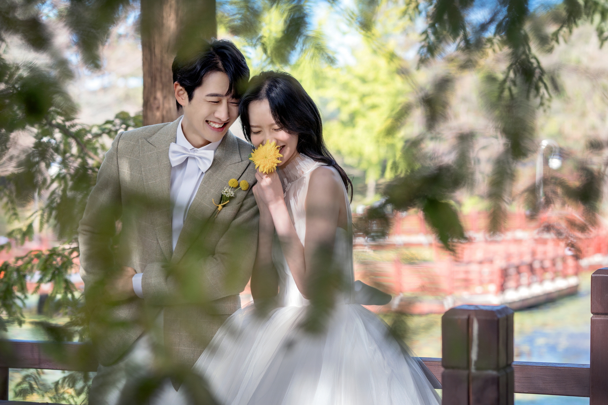 메타세쿼이아길1