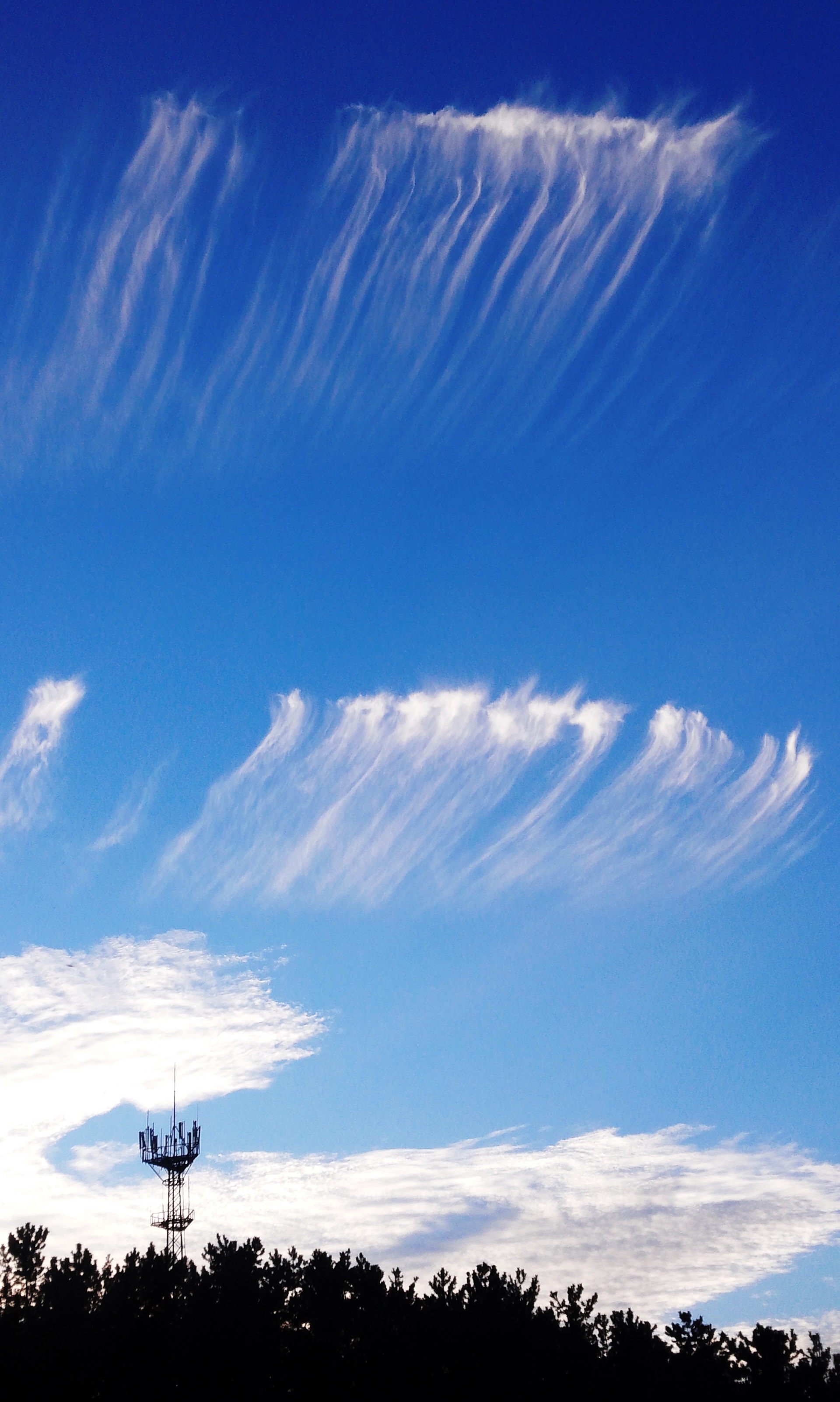 MyPhoto_1109865868_0137