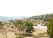 경ㆍ사향