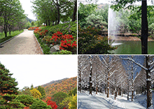 4계절 사진