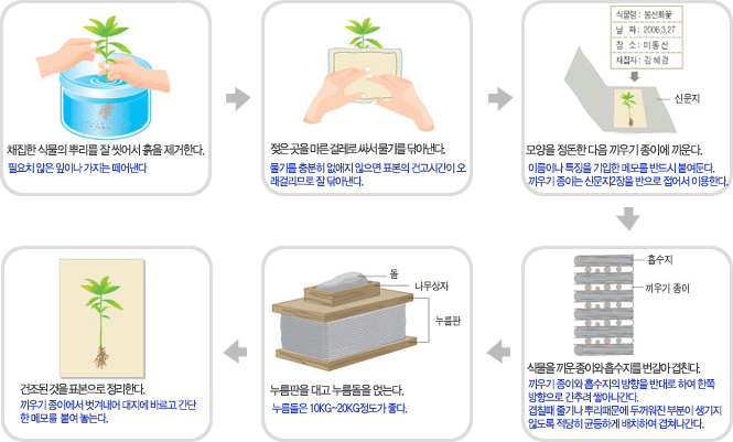 표본만들기