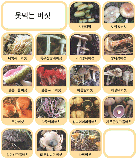 못먹는 버섯