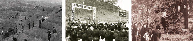 고려시대, 삼국시대