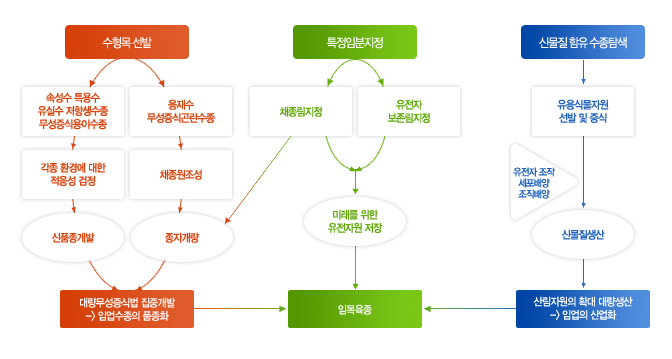 수목형