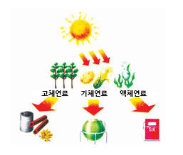 바이오매스