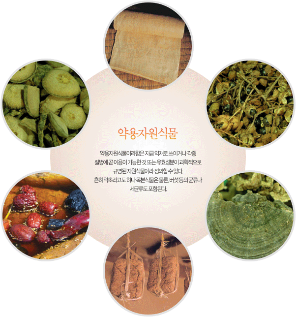 약용자원식물
