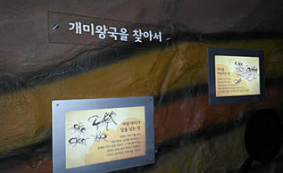 개미왕국