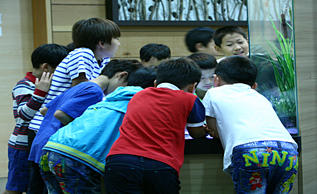 제7전시실-숲속의 곤충세계 사진