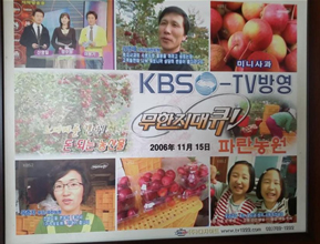 TV방영사진