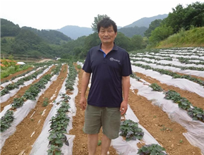 마을대표 및 고구마 재배포장
