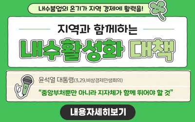 내수 활성화 대책