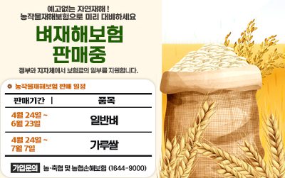 벼 재해보험 판매중